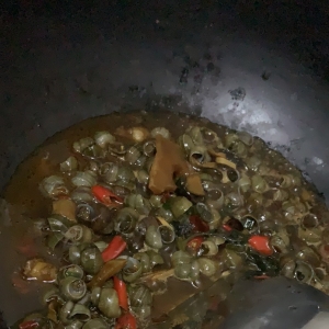 我的相册